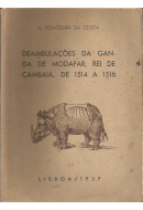 Livros/Acervo/C/COSTA AFONT DEAMB